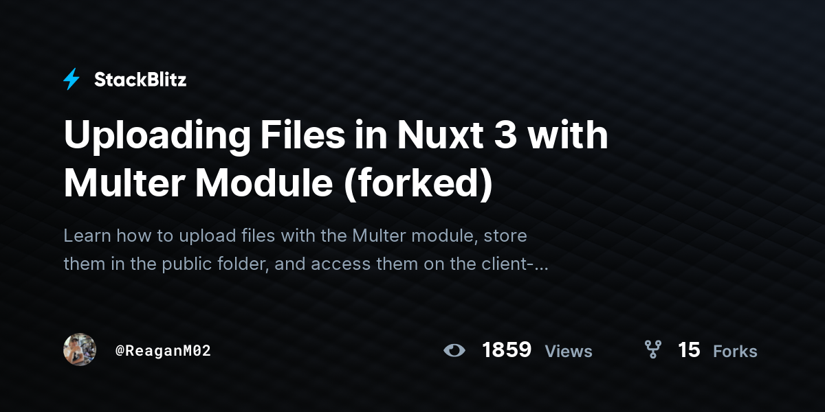 Uploading Files in Nuxt 3 with Multer Module (forked) - StackBlitz
