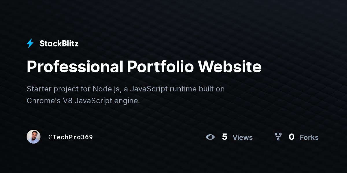 Professional Portfolio Website - StackBlitz