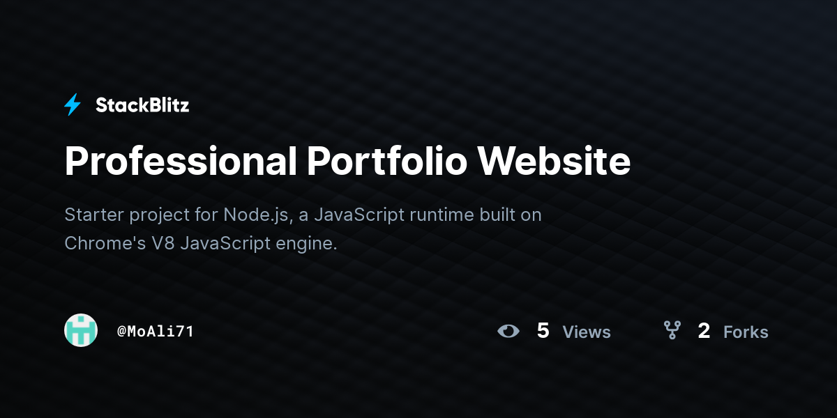 Professional Portfolio Website - StackBlitz