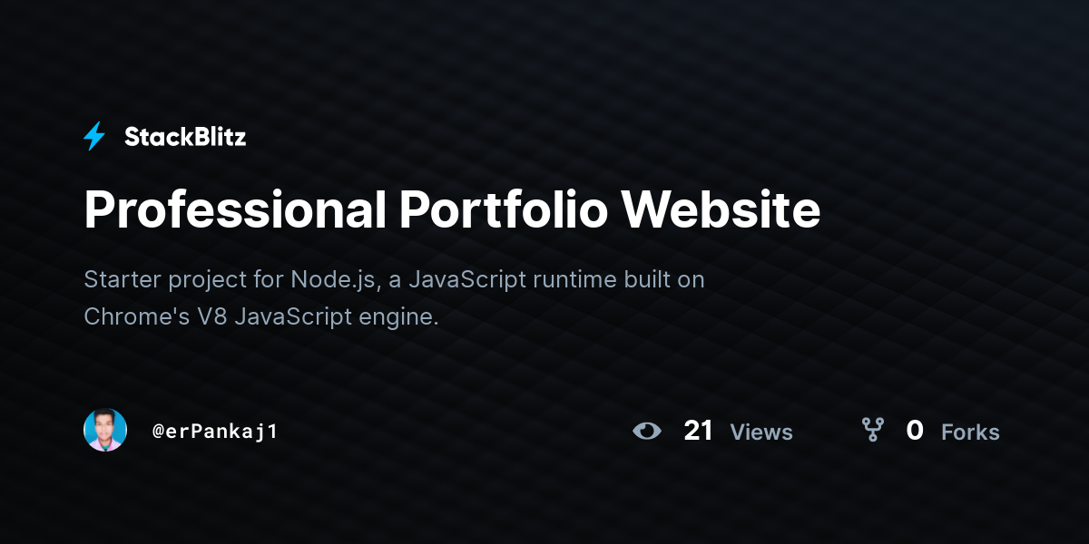 Professional Portfolio Website - StackBlitz