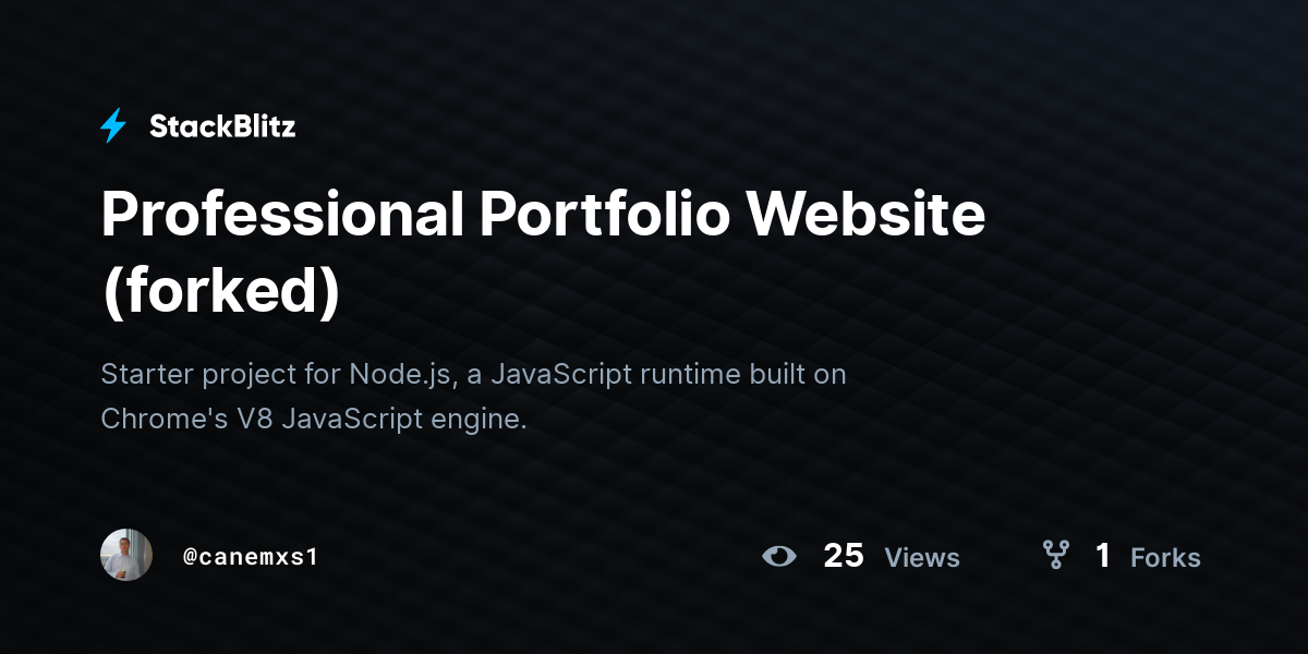 Professional Portfolio Website (forked) - StackBlitz