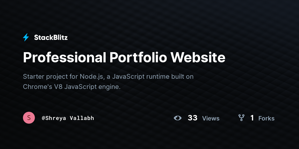 Professional Portfolio Website - StackBlitz