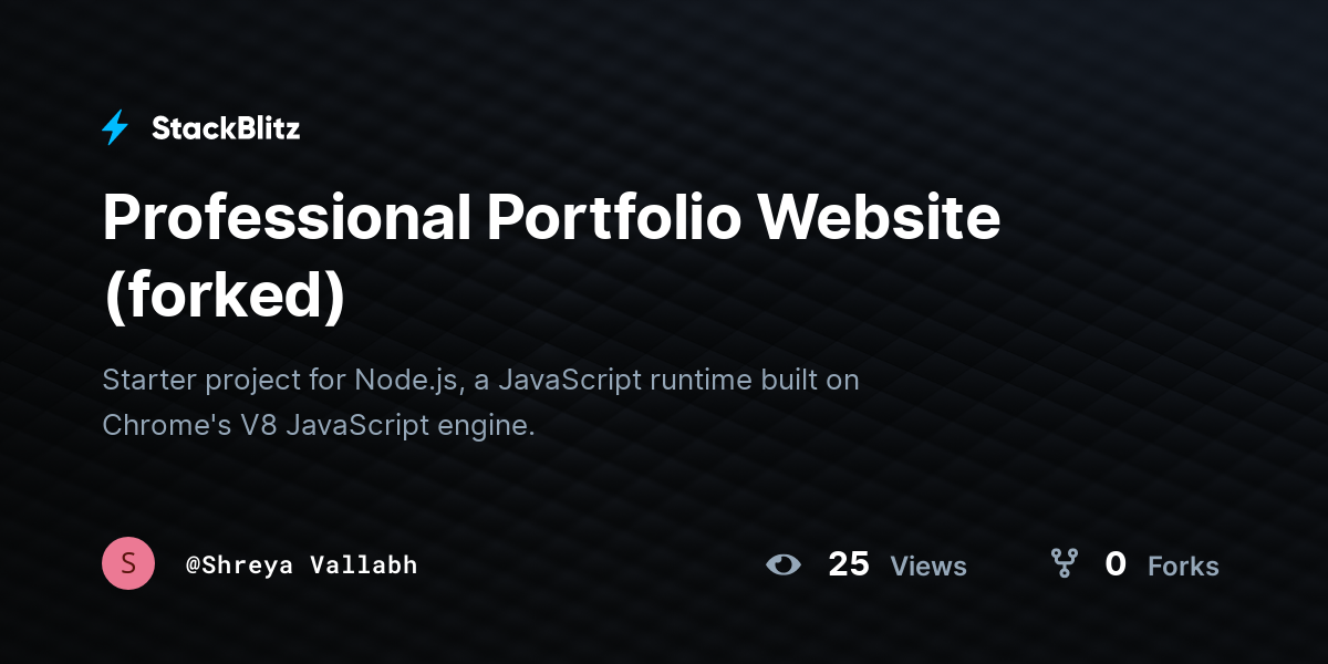 Professional Portfolio Website (forked) - StackBlitz