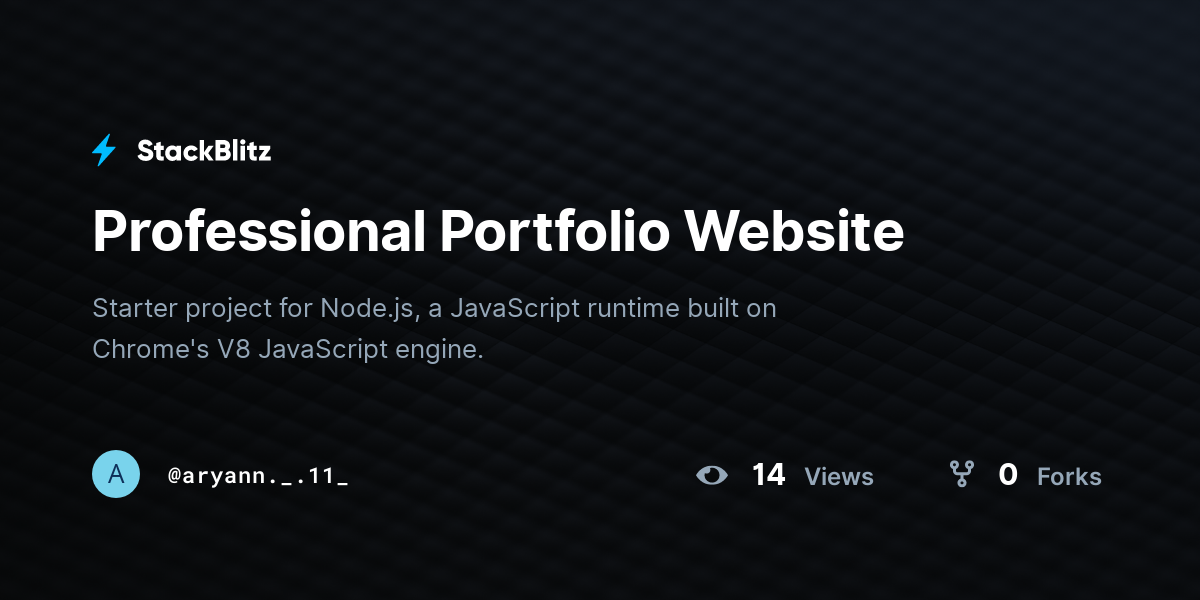 Professional Portfolio Website - StackBlitz