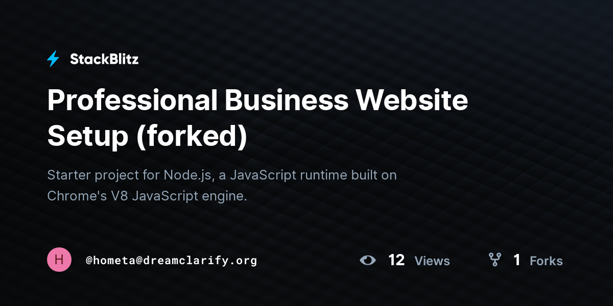Professional Business Website Setup (forked) - StackBlitz