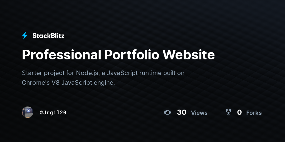 Professional Portfolio Website - StackBlitz
