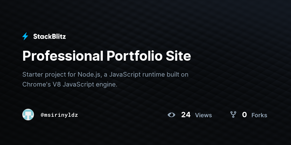 Professional Portfolio Site - StackBlitz