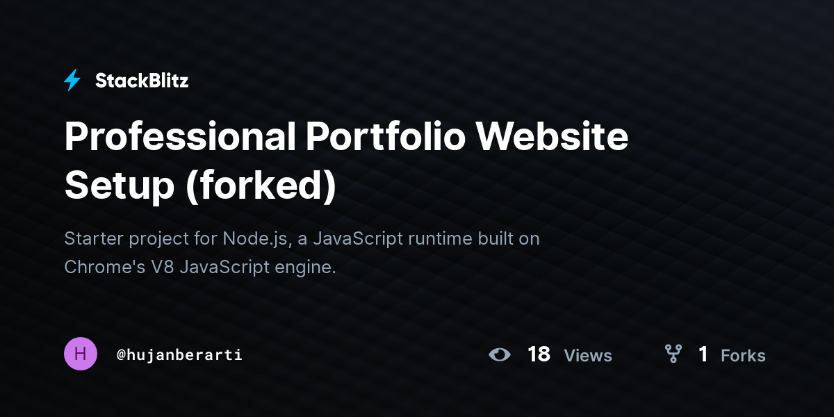 Professional Portfolio Website Setup (forked) - StackBlitz
