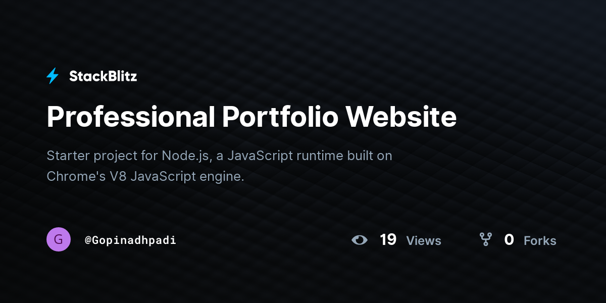 Professional Portfolio Website - StackBlitz