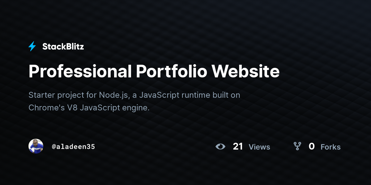 Professional Portfolio Website - StackBlitz