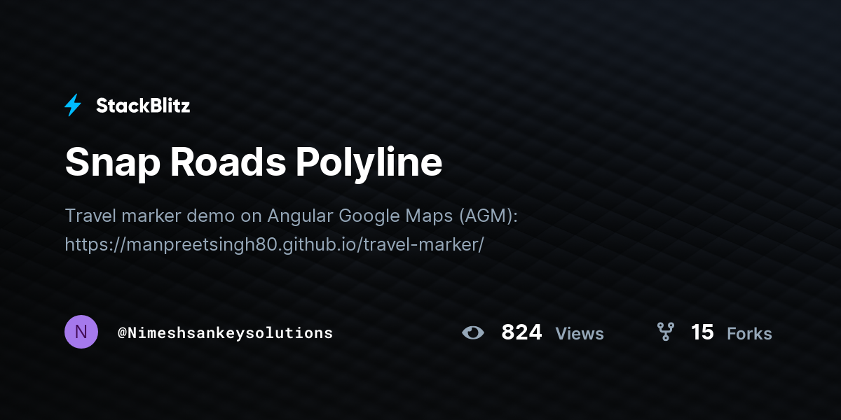 Snap Roads Polyline - StackBlitz