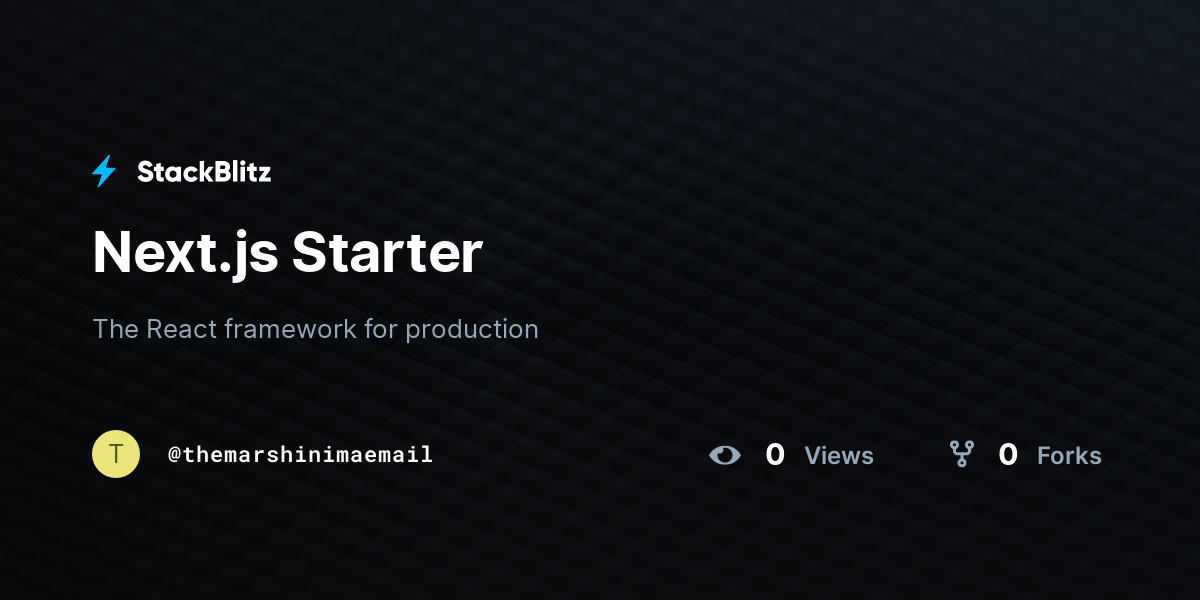 Next.js Starter - StackBlitz