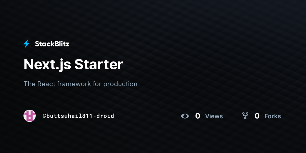 Next.js Starter - StackBlitz